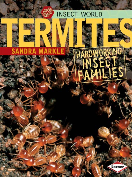 Title details for Termites by Sandra Markle - Available